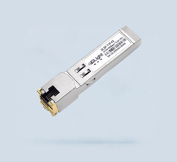 10 100 1000M RJ45